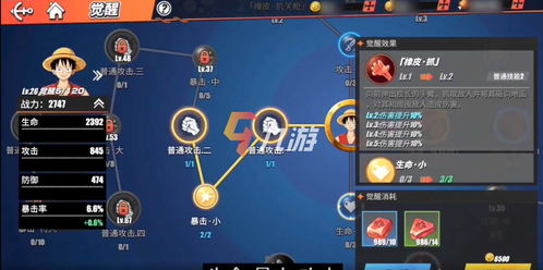 航海王罗宾技能加点攻略：热血航线高效提升指南