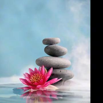 2024年度精选：快节奏游戏大全，畅玩新体验必看攻略