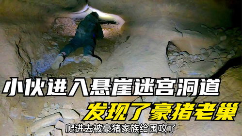 悬崖石门位置速查！全民奇迹2独家坐标攻略揭秘