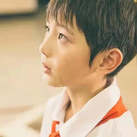 小森生活指南揭秘：探索隐藏位置新玩法