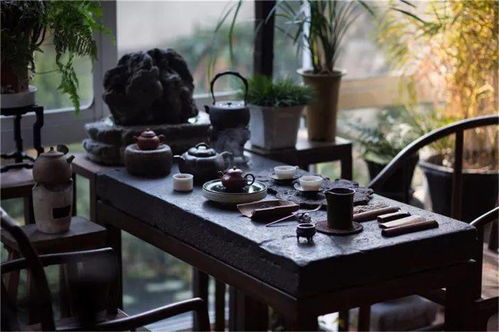 卷心菜轻松获取攻略，小森生活高效种植技巧揭秘