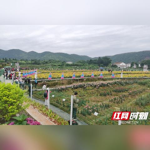 全民奇迹2雾港位置揭秘：轻松找到隐藏宝藏攻略