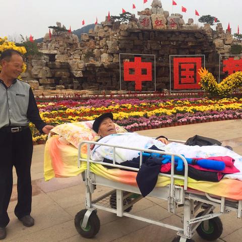 轻松掌握！光遇彩虹站立技巧大揭秘，解锁全新玩法