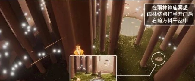 光遇雨林神庙精准坐标揭秘！探索神秘神庙隐藏位置攻略