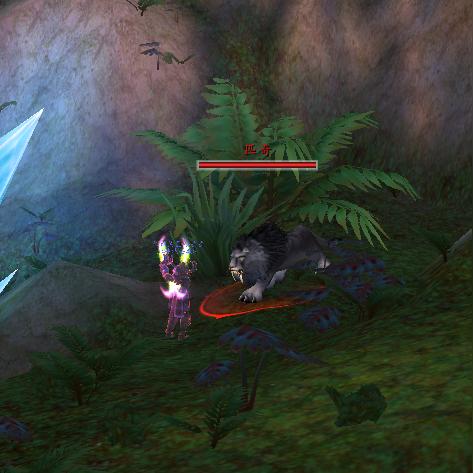 梦想新大陆神谕最佳坐骑盘点，神谕专属坐骑推荐攻略揭秘