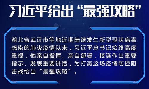 百分之一积分赛必胜攻略：高效配队技巧揭秘，助你一飞冲天