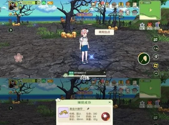 小森生活甲虫性格挑选技巧，解锁完美性格搭配攻略