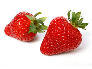 草莓大福食谱解锁攻略：小森生活独家解锁技巧揭秘