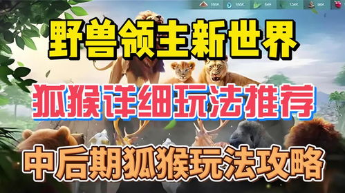 野兽领主攻略：揭秘狐猴管家独门秘籍
