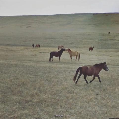 美国游戏盘点：揭秘十大热门必玩佳作，解锁沉浸式游戏体验