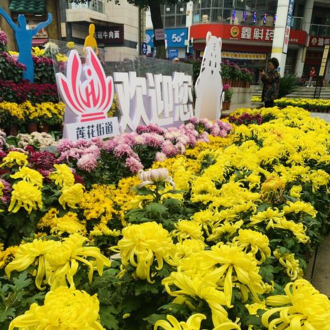 2024年必玩城市营造游戏盘点：打造梦想都市新体验