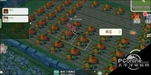 小森生活防偷菜技巧揭秘：打造无忧菜园，守护丰收宝藏