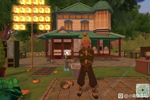 小森生活海岛资源刷新秘籍：揭秘高效获取攻略