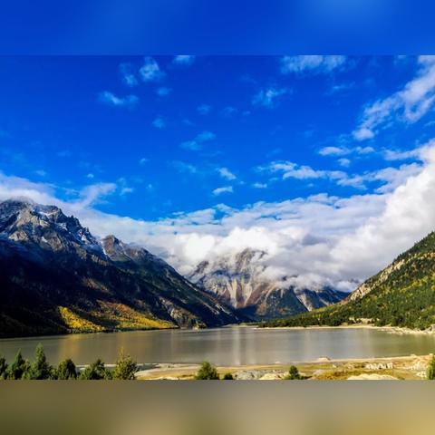 碧蓝档案野宫角色深度解析：属性技能全解析+满破立绘赏