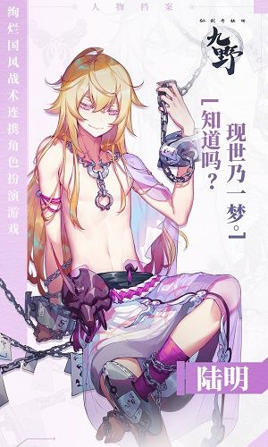 仙剑九野陆明职业攻略：深度解析技能提升秘籍