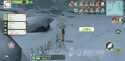 止风草获取攻略：小森生活神秘材料位置揭秘！