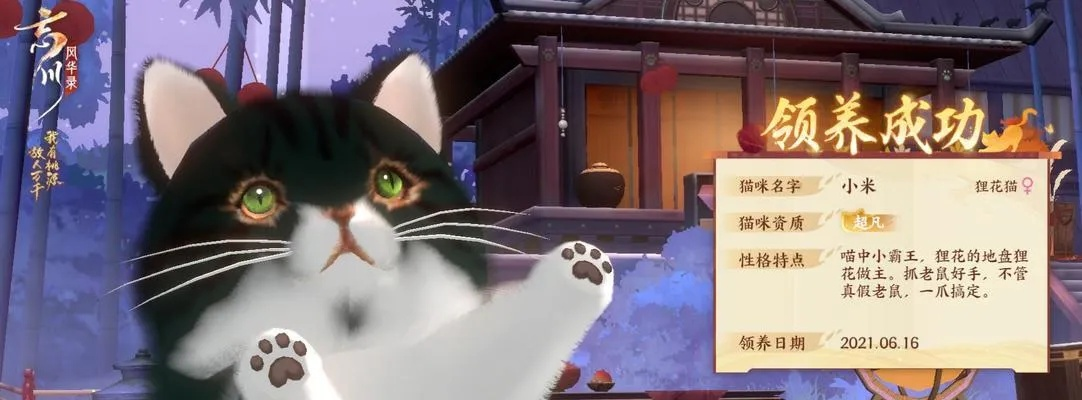 忘川风华录猫姥姥高效攻略：掌握核心技巧，轻松通关秘籍大揭秘