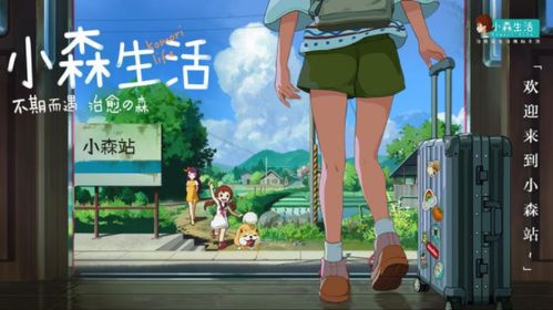 小森生活背包滤镜技巧揭秘：高效使用攻略全解析