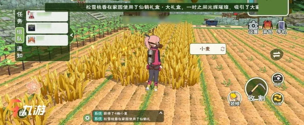 安卓iOS双平台互通攻略：小森生活轻松畅玩无障碍