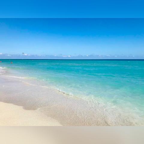 《保卫派对蛋糕攻略》揭秘：掌握永久蔚蓝星球胜利秘诀！