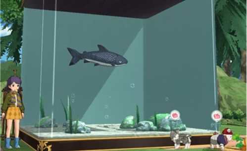 鱼王在《小森生活》中的强大作用及高效捕捞攻略揭秘