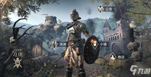 上古卷轴刀锋装备攻略：轻甲还是重甲？揭秘最佳选择！