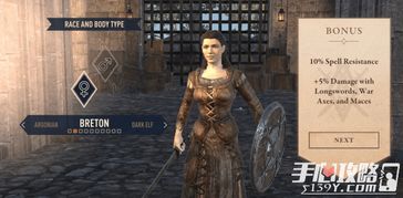 上古卷轴刀锋素材高效分配技巧，轻松提升材料利用率攻略揭秘