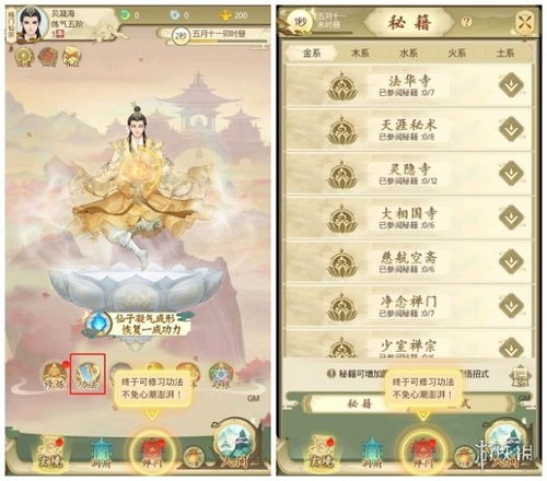 云端问仙功法搭配秘籍：高效升级攻略，轻松掌握！