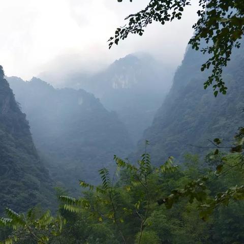 烟雨江湖明月山图碎片获取攻略：四步轻松集齐，高效解锁秘境