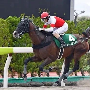 赛马娘东海帝王养成攻略：高效角色培养秘诀大公开