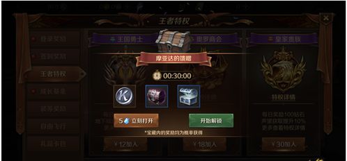 侠客玫瑰获取攻略：揭秘高效获取秘籍，轻松解锁宝藏！