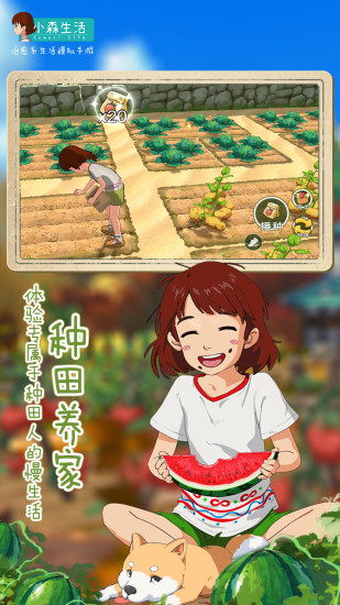 小森生活宠物异常状态速解攻略，告别烦恼轻松应对