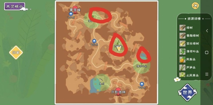 探秘小森矿洞入口攻略：详尽资源分布图解析