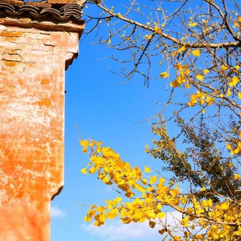 武则天副本高效攻略：棋争忘川风华录必胜技巧揭秘