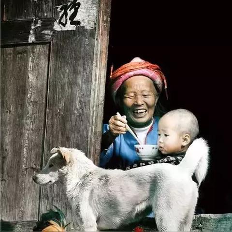 云野鸟叫先祖藏身之谜揭秘！探秘光遇神秘先祖位置攻略