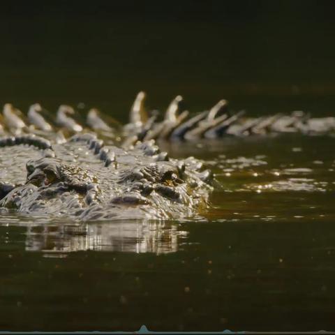 《伊甸园的骄傲》秘境解锁攻略：揭秘隐藏宝藏新路径