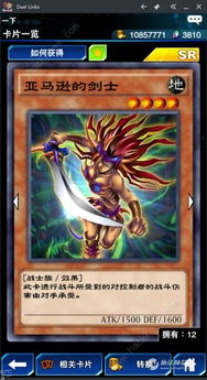 《游戏王》卡组攻略：吸血鬼卡组搭配技巧深度解析