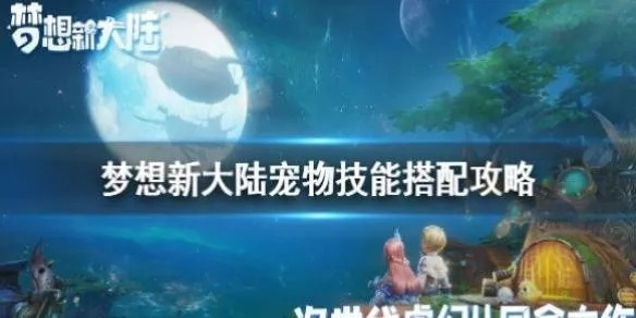 梦想新大陆宠物进化攻略：揭秘高效进化秘籍