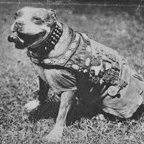 热门一战游戏推荐：下载量飙升的战场佳作盘点