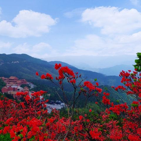 江南百景图十里街宝箱攻略：高效获取方法揭秘