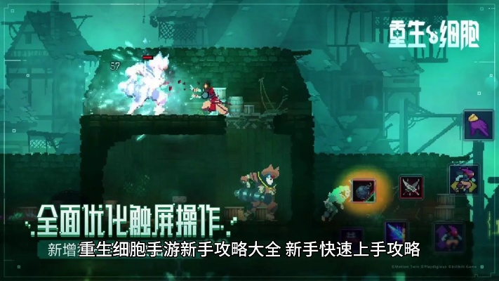 速刷细胞攻略揭秘：重生细胞高效使用技巧大公开