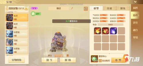 梦想新大陆宠物合成攻略：宝宝合宠技巧揭秘，轻松提升战斗力