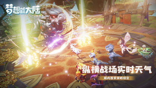 梦想新大陆职业攻略：揭秘最强职业，助你畅游新世界