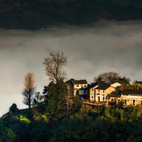 修仙云端性格选择攻略：解锁最佳属性搭配秘籍