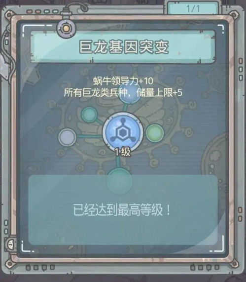 最强蜗牛5阶克罗斯特建造攻略：高效建造技巧揭秘