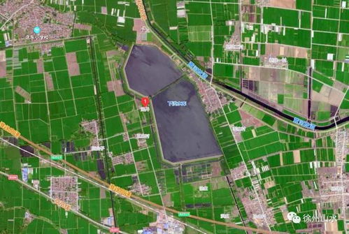 妄想山海蹄腱获取攻略：揭秘蹄腱来源的神秘动物