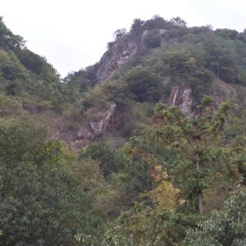 山村老屋3守墓人第六章通关秘籍：高效技巧助你一臂之力