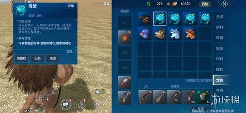 火狐捕捉攻略：揭秘妄想山海火狐分布秘境