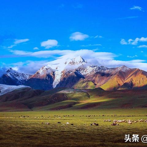 地下城堡3冰封海岸秘境通关必看！高效攻略助你一臂之力