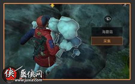 甘瓜采集攻略：妄想山海神秘食材获取地点揭秘